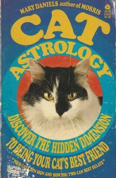 cat_astrology.jpg