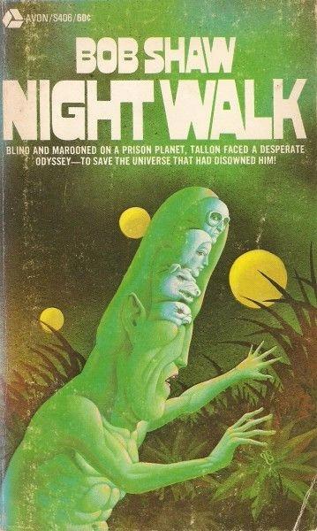 night_walk.jpg