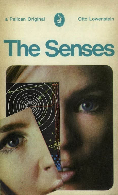 senses.jpg