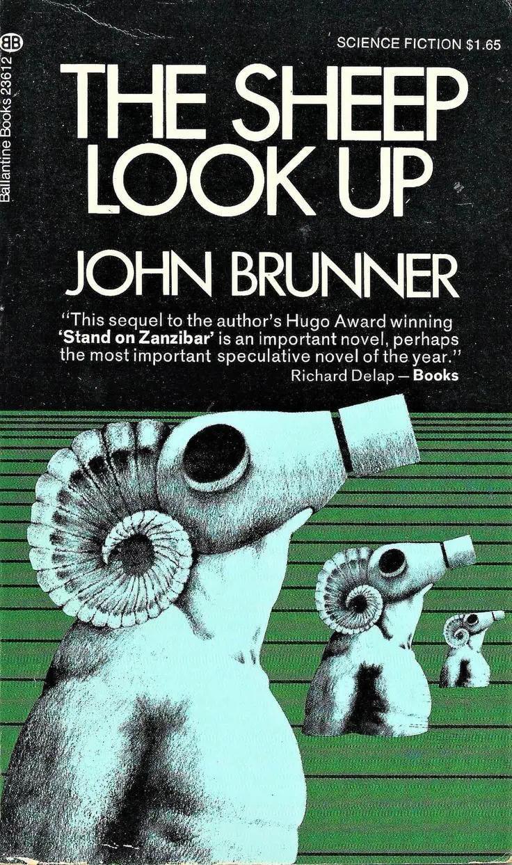 sheep_look_up.jpg