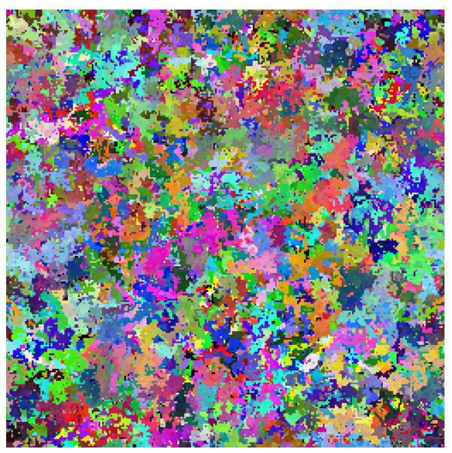 Z5 Random Walk
