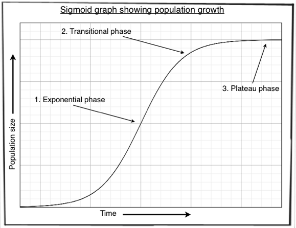 Ecology Sigmoid Curve