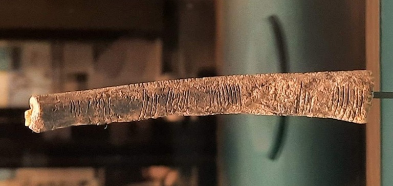 Ishango Bone